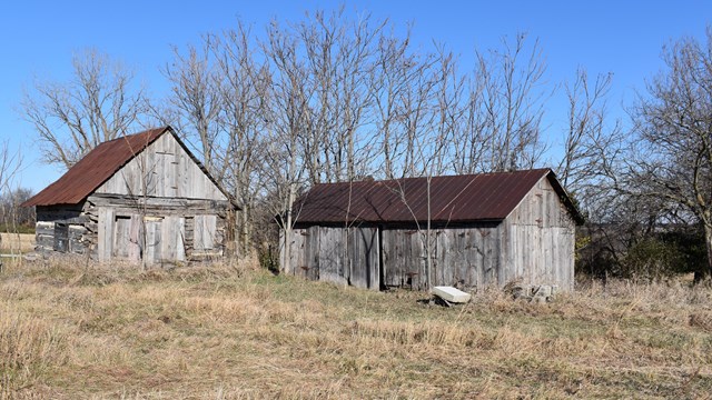 Two old wooden cabins, with rusted metal roofs, stand in a field. Tall trees stand behind them.