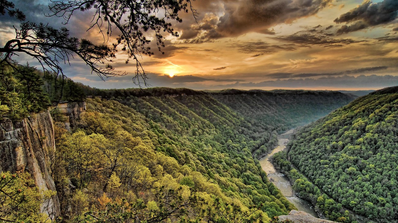 scenic view of a river and forested gorge