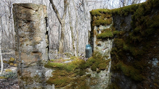 Old stone wall ruins of a building in the forest