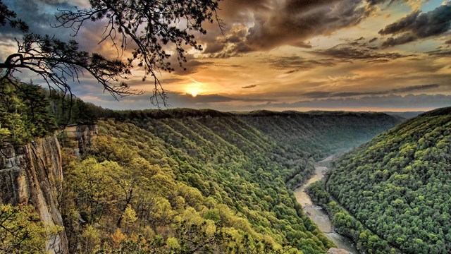 scenic view of a river flowing through a deep, forested gorge