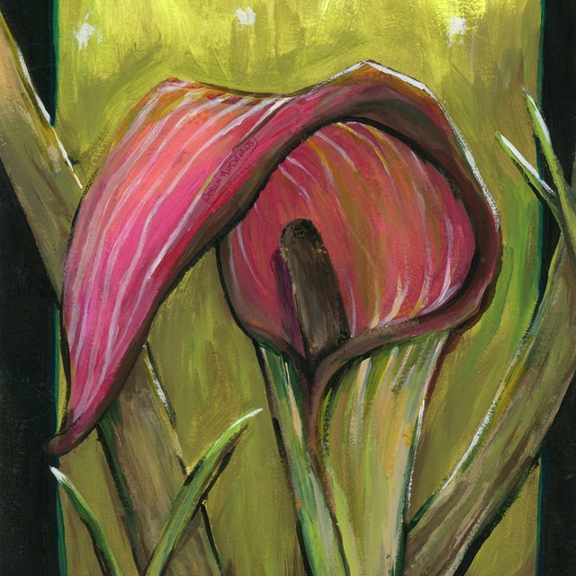 wildflower painting