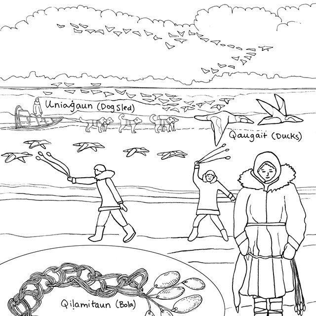 A line drawing depicting Inupiat people wearing traditional clothing and using bolas to hunt ducks.