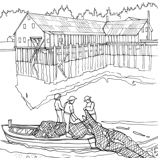  A line drawing with cannery buildings and a fishing boat with people pulling in a net with salmon.