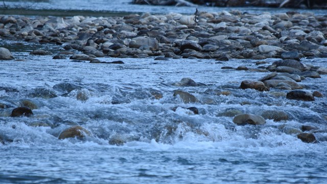 Water rushing over a rocky river bed