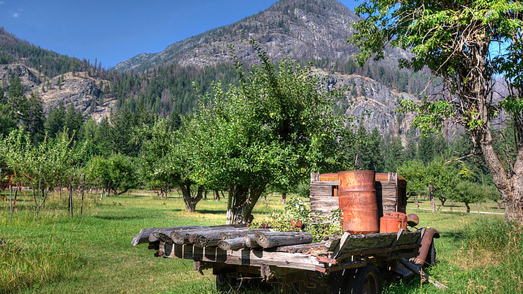 A rustic truck sits in an orchard with trees surrounding with mountains rising above.