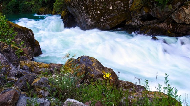 A roaring river.