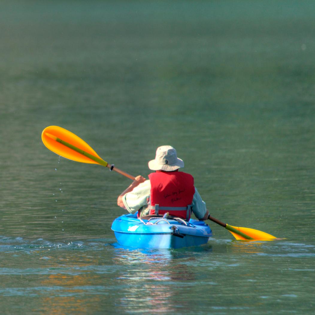 Two kayakers paddle on a lake.
