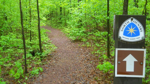 Signs with an arrow on the right point down a trail engulfed in green trees. 