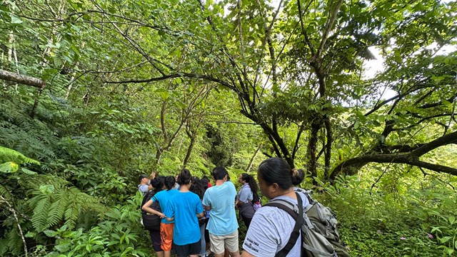 Outdoors; Backs of a group of kids and one adult on trail in vibrant green foliage.