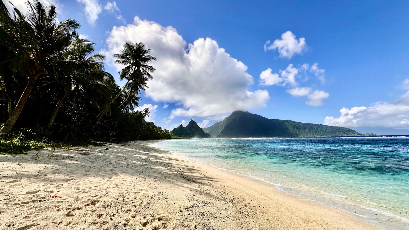 Outdoors; White sandy beach forefront, blue water on right, palm trees and mountain in background.