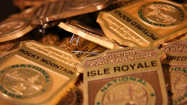 Pile of Junior Ranger badges