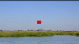 Screenshot of a video still of a large marshland in front of the New York City skyline