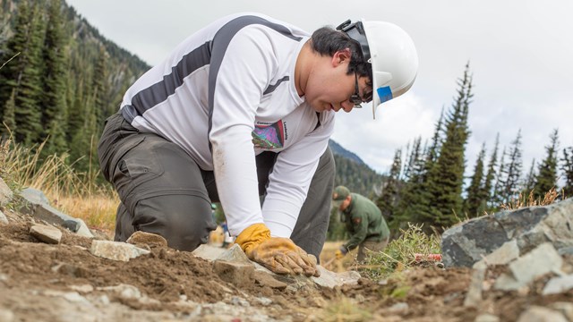 Volunteer pulling an invasive plant out of the ground