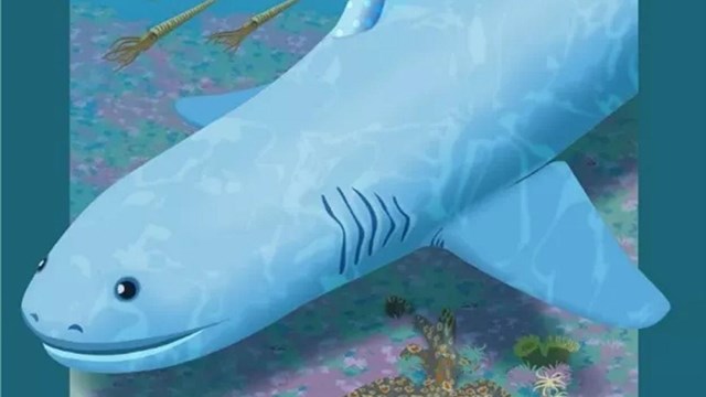 Illustration of a prehistoric shark
