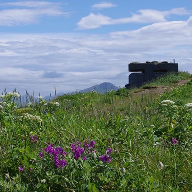 World War II battery on a mountainous grassland 