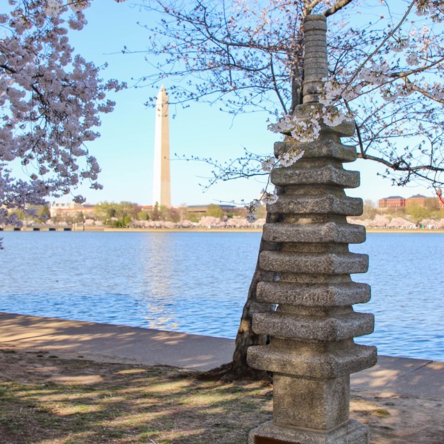Memorial statue under cherry blossom trees with the Washington Monument in the distance