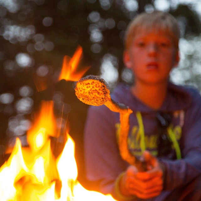 Kid roasting a marshmallow over a fire