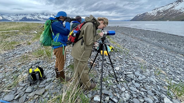 Three people peer through a spotting scopes on a coastal gravel bar; mountains in background.