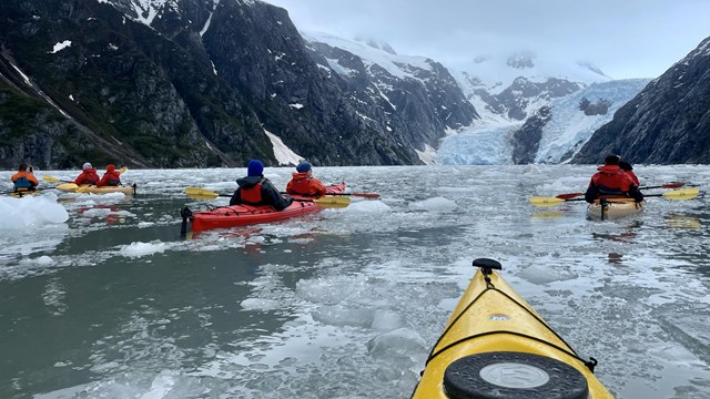 A group of kayakers paddling in an icy fjord with glaciers and mountains in the background.