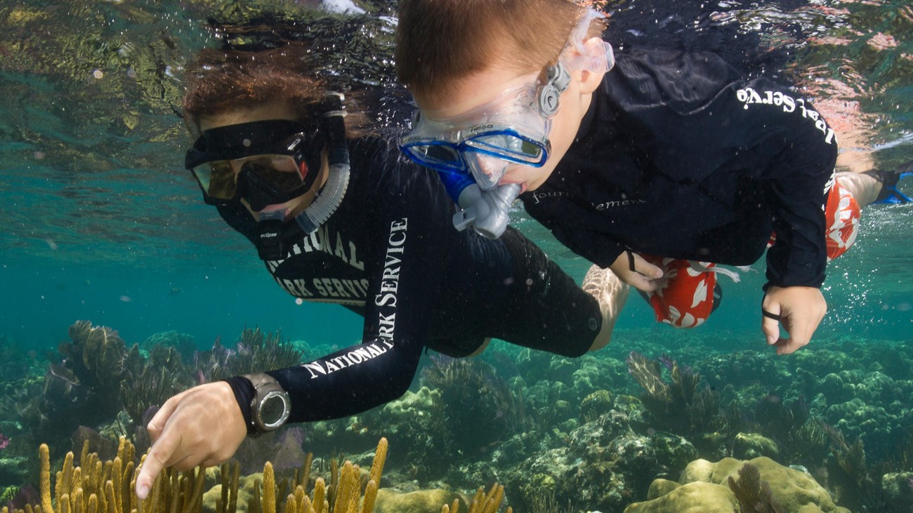 Young kid and ranger snorkeling 