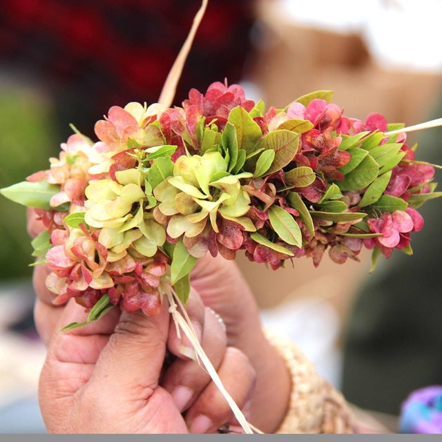 hand holding a traditional lei wili with green and pink flowers