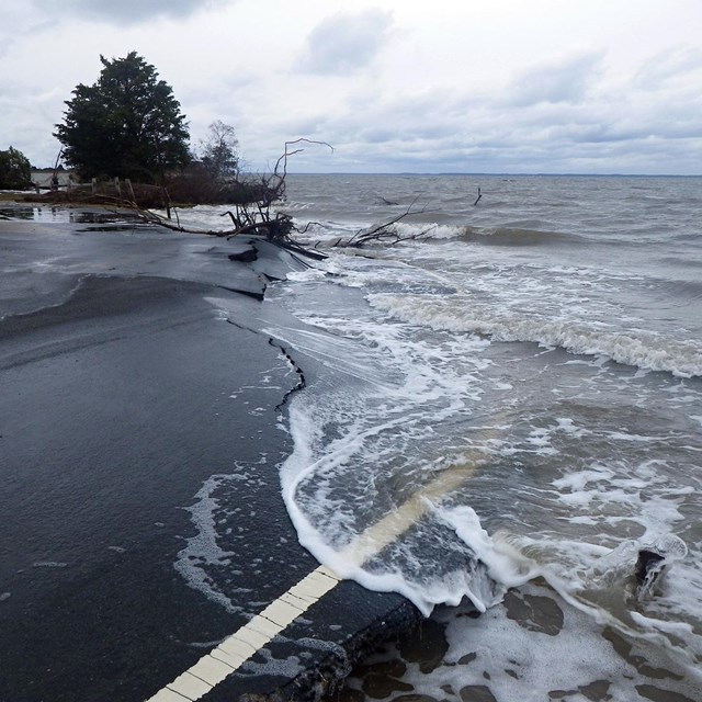 ocean water surging over asphalt with trees in the background