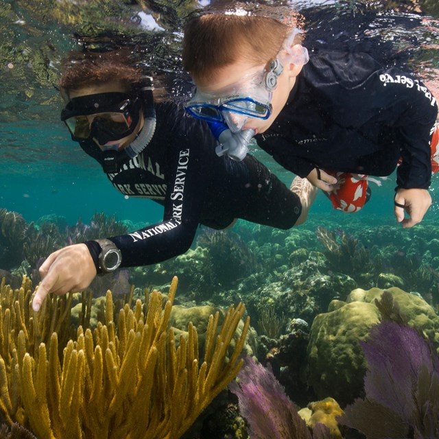 Young kid and ranger snorkeling 