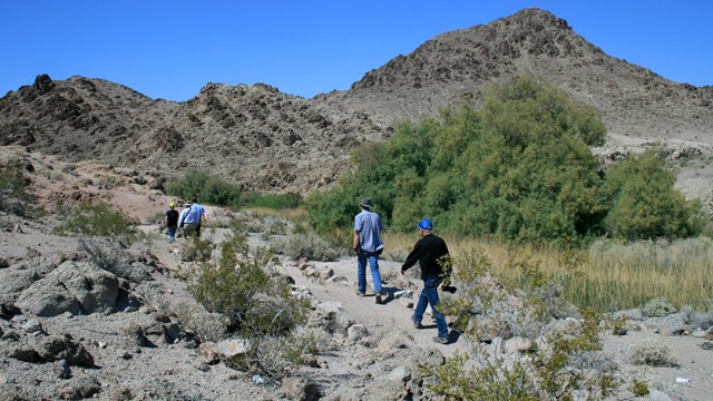 People walk down a trail in a desert setting, with little vegetation.