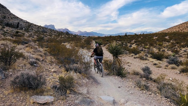 A man rides a bike down a desert trail, in a rocky setting.