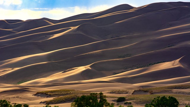 A large towering dune field in afternoon light.