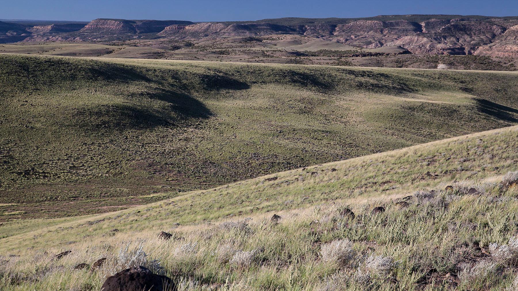 Rolling hills with light grass and and small shrubs.