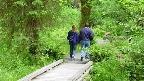 A couple walks along a wooden boardwalk through a forest.