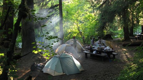 Three tents in a campsite in a forested area.