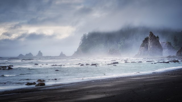 A misty beach with rocky sea stack islands.