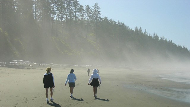 Three people walking on a misty beach on a sunny day.