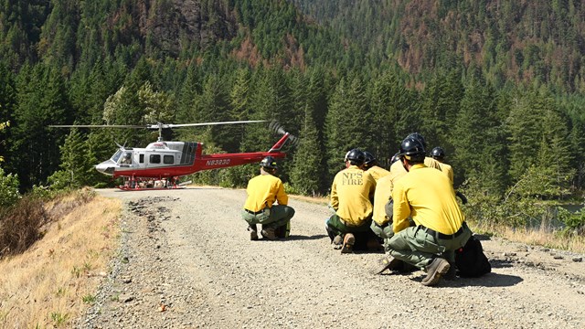 Firefighters wearing helmets and yellow shirts crouch as a helicopter lands on a dirt road. 