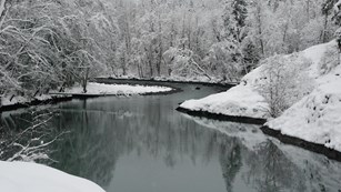 Snow shrouds the shores of the Elwha River in winter.