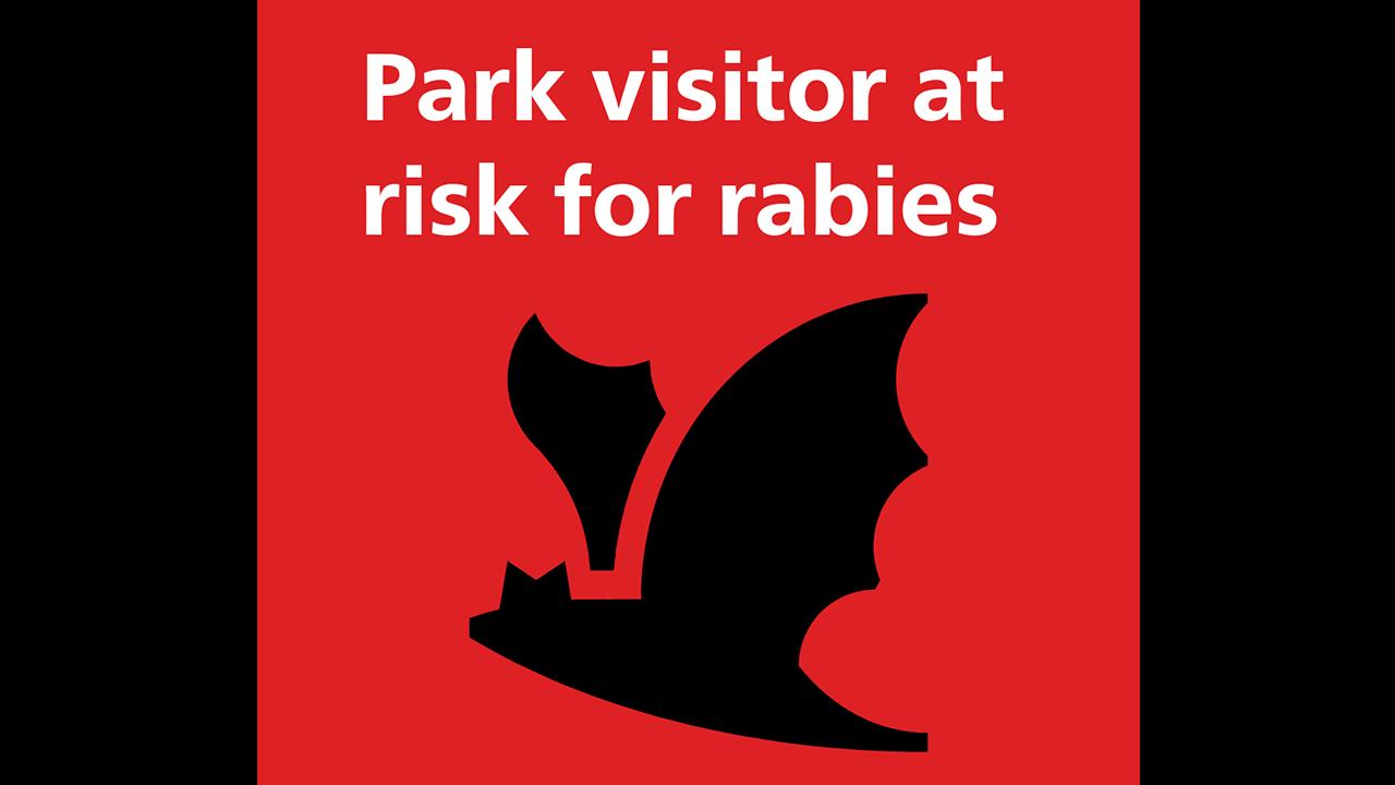 A bat silhouette on a red background. text reads Park visitor at risk for rabies.