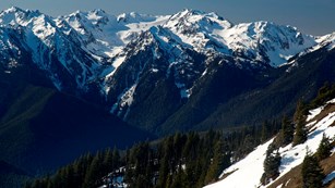 Baily Range and Mt. Olympus can be seen from Hurricane Ridge.