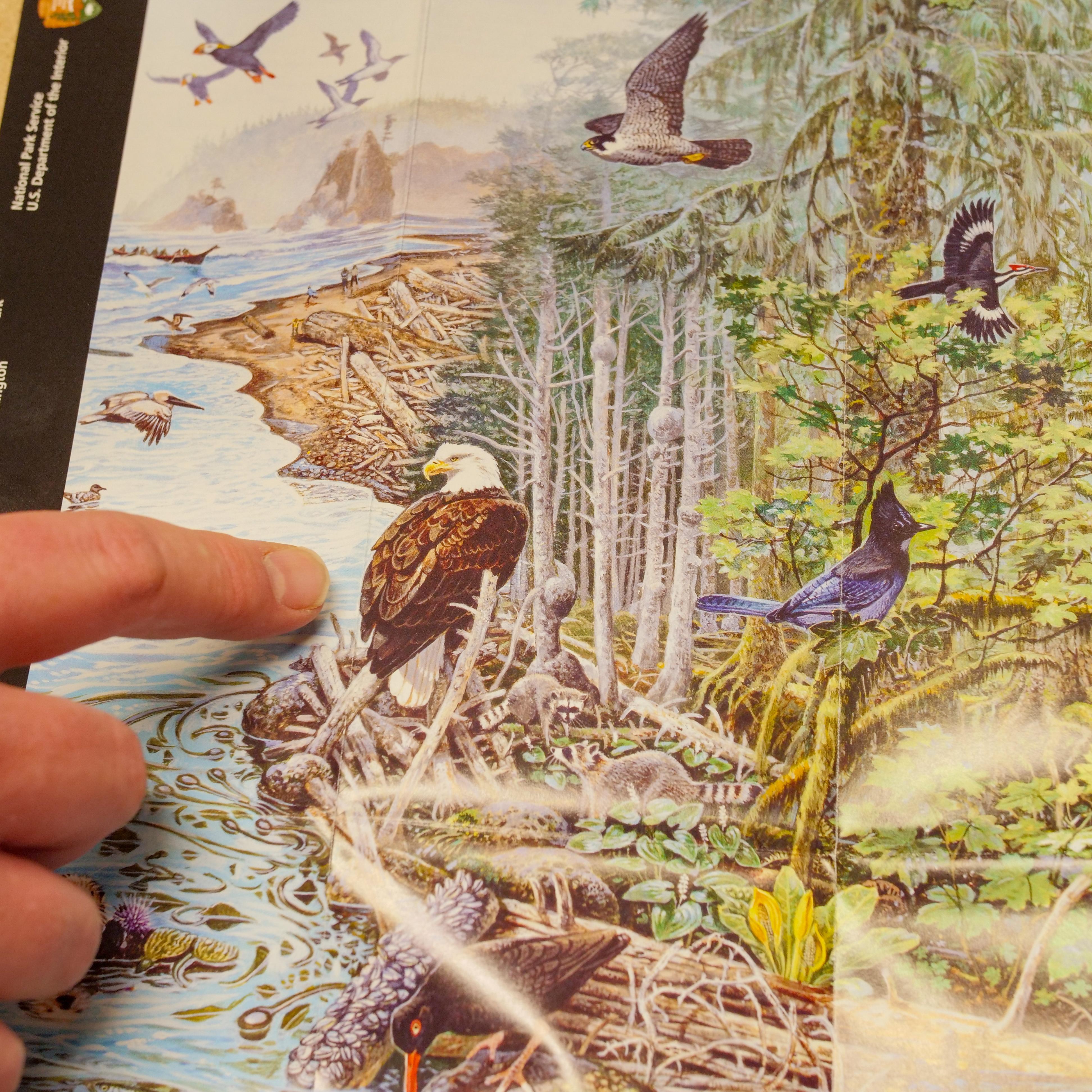 Check out the audio described, braille, and text only versions of the park brochure.