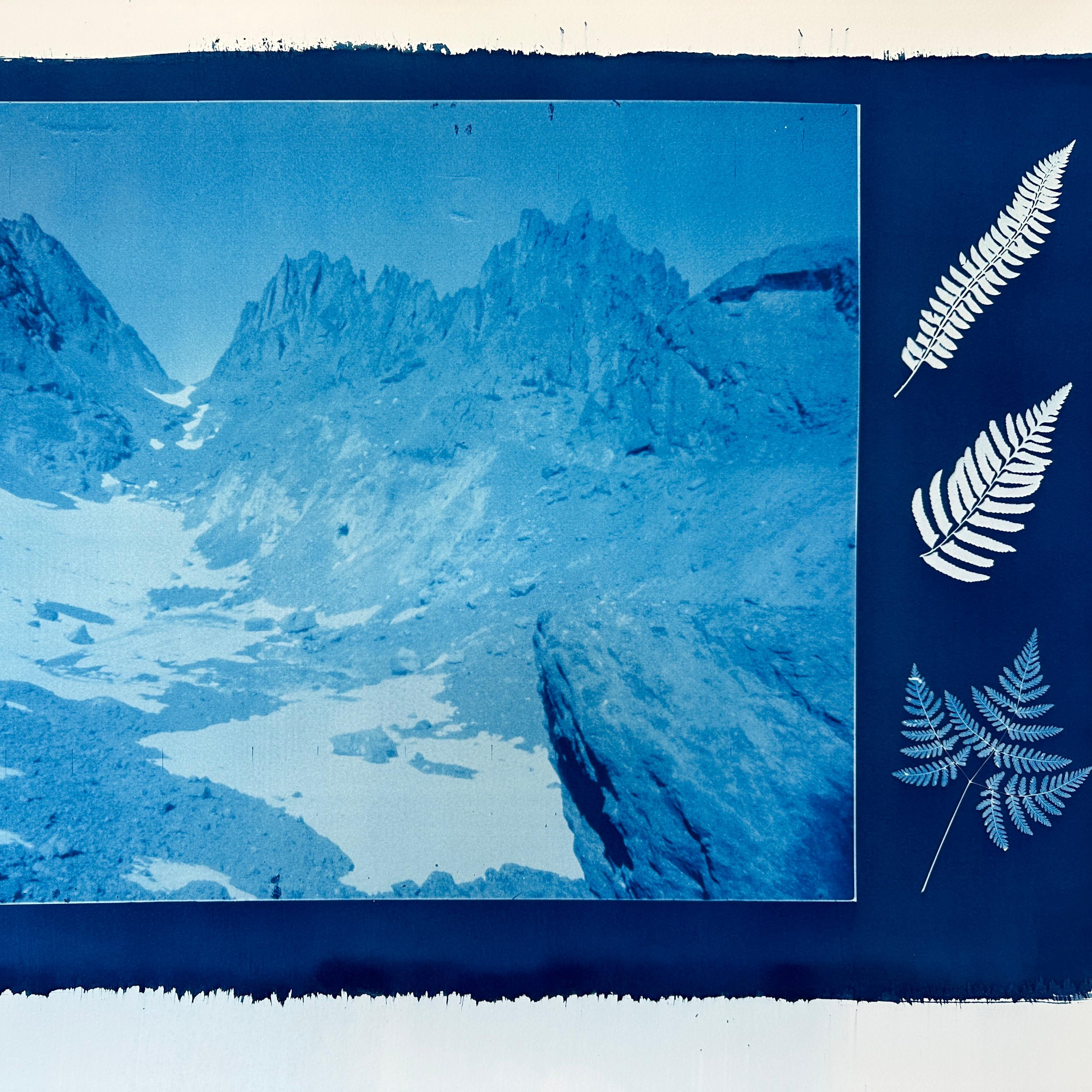 A photograph in shades of blue of the scant remnants of a glacier. Silhouettes of three ferns.