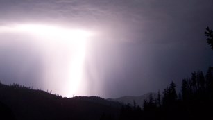 Lightening striking above the trees at Oregon Caves.