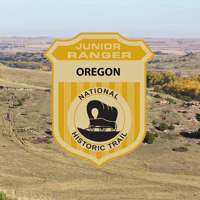 A junior ranger badge image on top of a grass covered, hill-covered landscape.