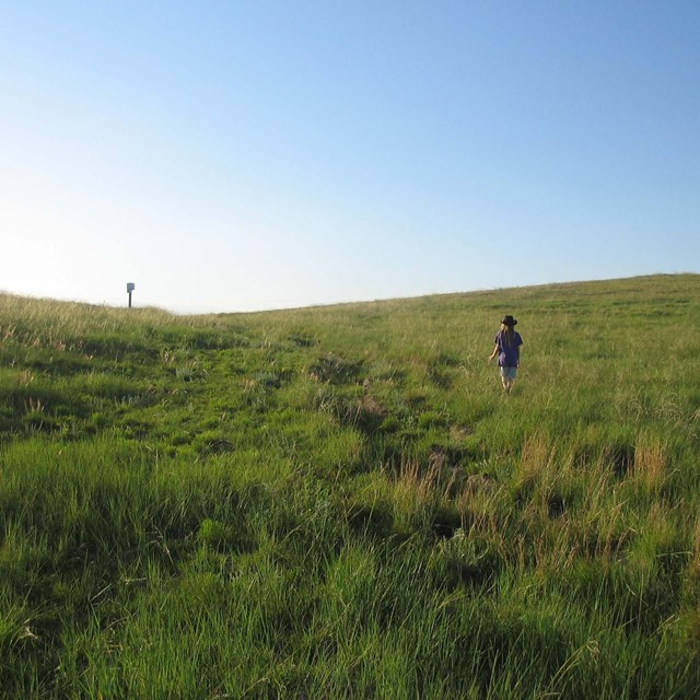 A person walks up a grassy swale under a blue sky.