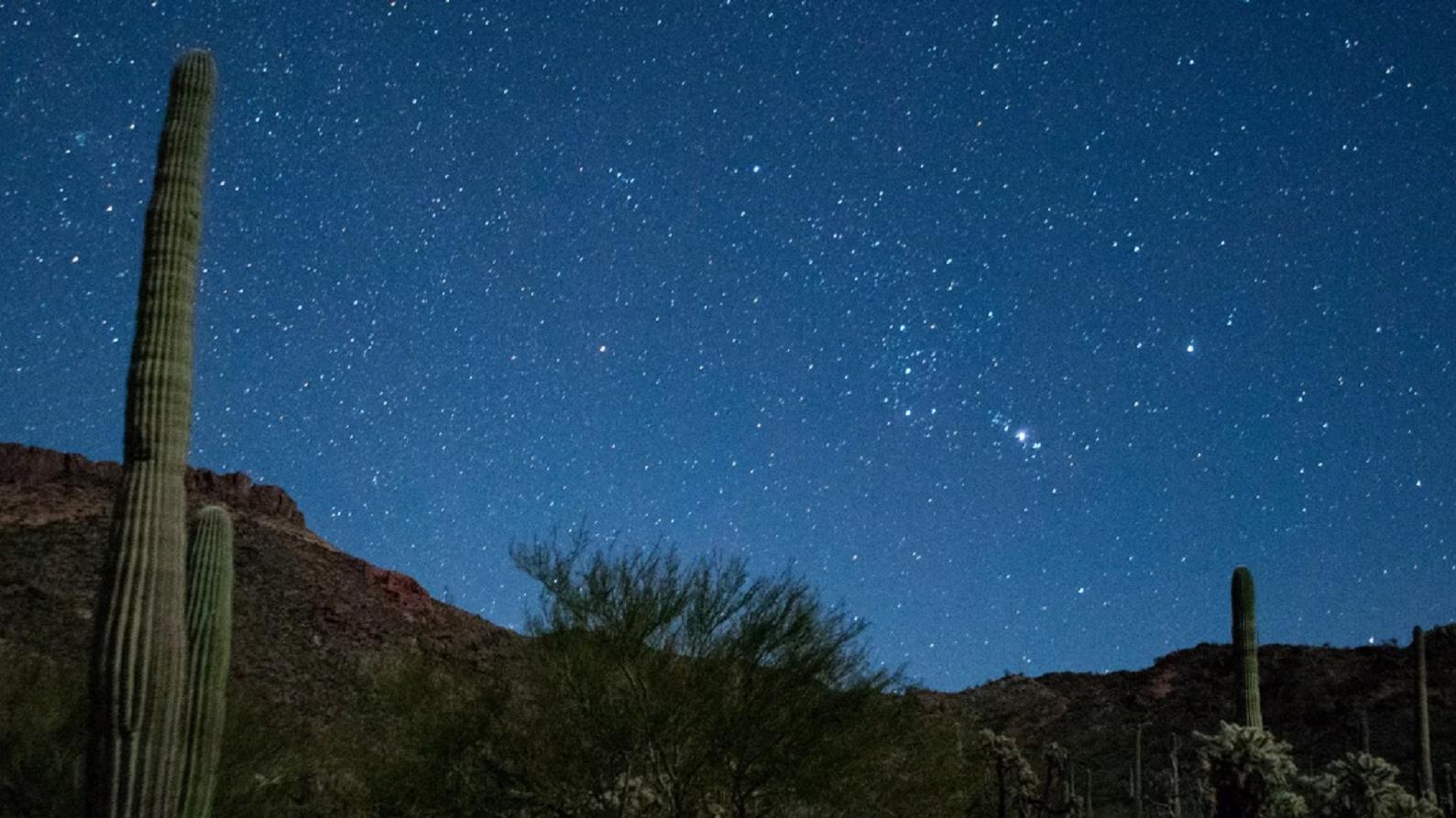A saguaro sits under a starry sky with mountains in the background.