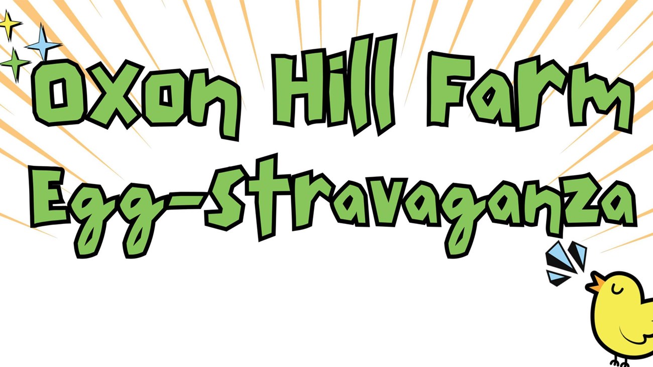 Oxon Hill Farm Egg-Stravaganza