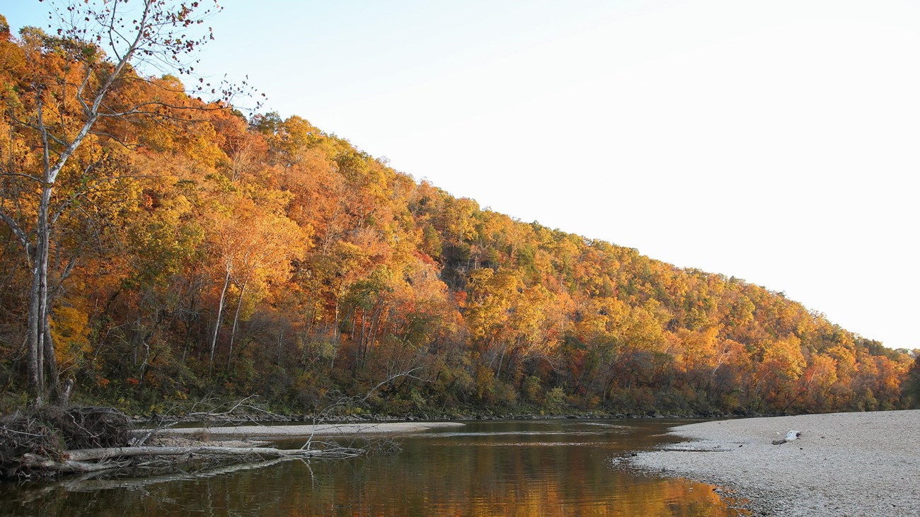 A wide river flows between rocky bluffs and wooded hills. There is beautiful fall color all around.