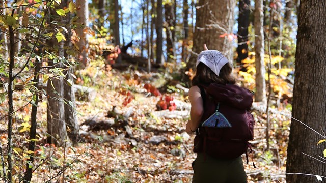 A woman walks along a wooded trail in fall.