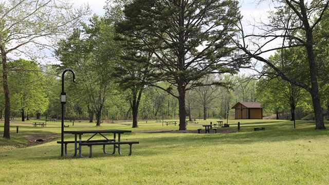 A lush green campground.