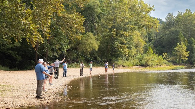 A group of fly fishers line up along the river.